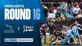 Newcastle v Sale - HIGHLIGHTS | Dominant Second Half! | Gallagher Premiership 2023/24