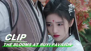 Clip: Ju Jingyi Wants To Get Close To Zhang Zhehan | The Blooms At RUYI Pavilion EP21 | 如意芳霏 | iQIYI