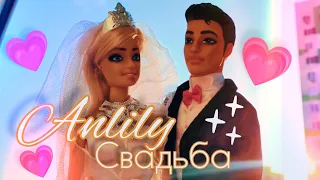 Обзор свадебного набора от Anlily 💍куклы жених и невеста, аналог барби и кена, свадьба кукол 💗