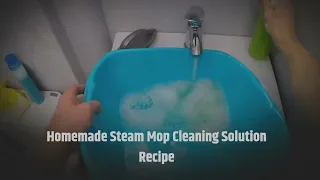 Homemade Steam Mop Cleaning Solution Recipe