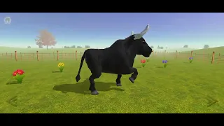 only buffalo dance s1 episode 33