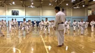 JKA Taniyama Takuya Sensei - Zenkutsu Dachi / Kokutsu Dachi pt.2