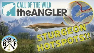 Hotspot Guide: Shovelnose Sturgeon - Land Huge Golds and Diamonds!! | Call of the Wild: theAngler