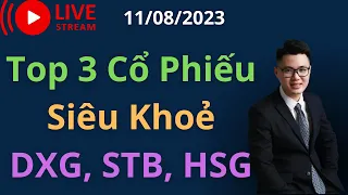 Top 3 Cổ Phiếu Siêu Khoẻ DXG, STB, HSG | Chứng Khoán Thế Vũ.