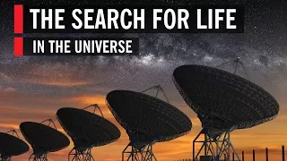 The Search for Life in the Universe