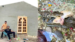 Crocodile Ny Mouse Ko Mar Dala 😰 Room Ka Kam Complete