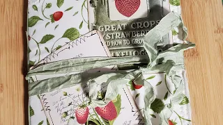 Strawberry Journal Flip-through **SOLD**