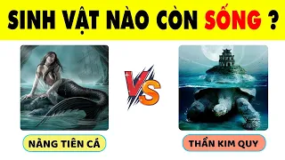 Chỉ 13% Học Sinh Giỏi Toàn Diện Có Trí Tuệ Siêu Phàm Mới Biết Hết 15 Câu Đố Này | Nhanh Trí