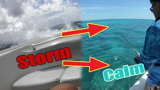 Losing BRAND NEW Anchor | Patch Reef Fishing in Key Largo Catch and Cook