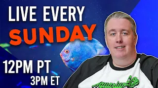 Chat while you work on your tanks live stream.  Sundays 12pm PST/3PM EST