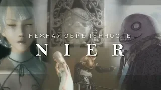 Нежная обречённость Nier