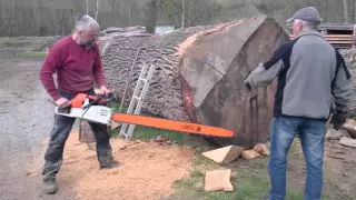 Stihl ms 880 150cm vs big oak log