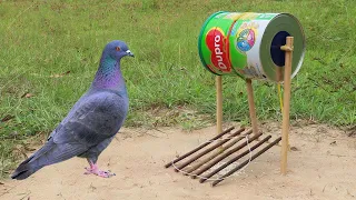 Easy Set Up Pigeon Trap Using Dupro Milk Cans And Woods - Unique DIY Bird Trap