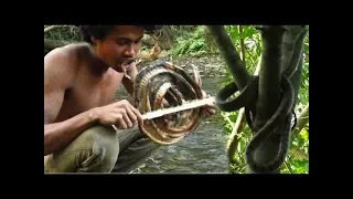 Survival Primitive Technology - Find wild snake by Spear in river   cooking snake eating delicious