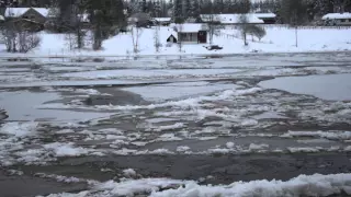 Oulujoki jäätyy