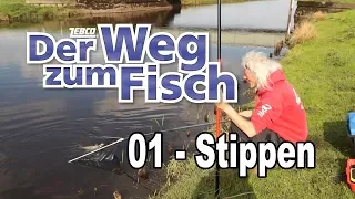 Der Weg zum Fisch - Teil 01 - Stippangeln - Angeln lernen mit Jörg Ovens