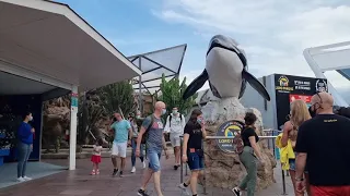 Loro Parque, Tenerife 2021