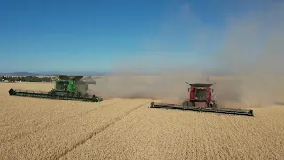 John Deere X9 1100 W/ HD50R   VS Case IH 9250