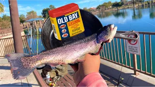 Urban Arizona Rainbow Trout Fishing! (Catch and Cook)