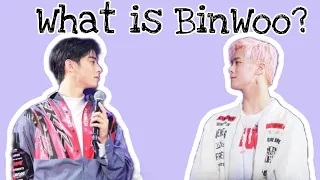 What is BinWoo?