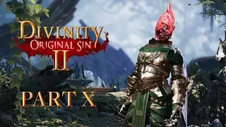 Divinity: Original Sin 2 - Part 10 - The Red Prince (Singleplayer - DOS2)