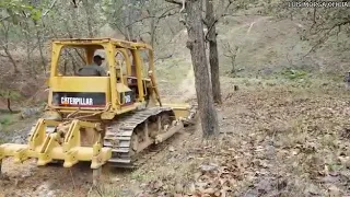 tractor vs árbol QUIEN GANARA