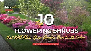 10 Flowering Shrubs That Will Make Your Garden Burst with Color 🌺🌷🌸