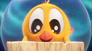 Where's Chicky? Funny Chicky 2023 | TREASURE HUNTING | Cartoon in English for Kids | New episodes