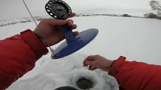 ПОСТАВИЛ ЖЕРЛИЦЫ НА НЕЗНАКОМОМ ВОДОЁМЕ.