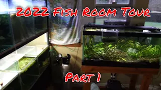 2022 Fish Room Tour - Part 1 The Guppy Mansion, Leopoldi Angels, Running River and more!