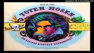 Die Toten Hosen - 180 Grad