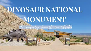 Utah's Hidden Gem Your Kids Will Love!! Dinosaur National Park