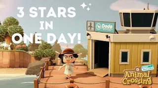 Getting to 3 Stars in ONE DAY | Animal Crossing New Horizons