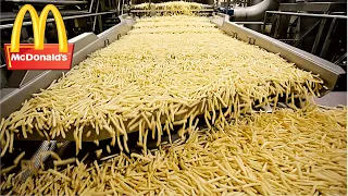 COMO se HACEN las PATATAS de MCDONALD'S! 🍟 | Dentro de la FÁBRICA!