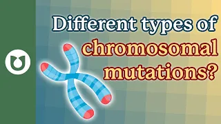 What are the different types of chromosomal mutations? (e.g. translocations)