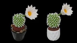 How to crochet Cactus/Succulent Plant