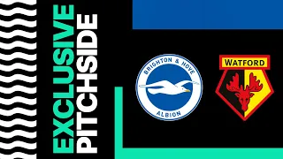 Exclusive Pitchside: Albion v Watford