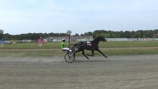 10. 08. 2019 Заезд №3 (67). Кубок губернатора курганской области