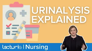 What A Urinalysis Can Tell You: Visual & Chemical Exam | Lecturio Nursing