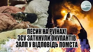 Песик заплакав! ЗСУ відповіли окупантам: залпи у відповідь. Це Вам за Львів - все у вогні.