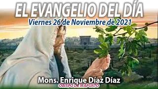 El Evangelio del Día | Mons. Enrique Díaz | 26 de Noviembre de 2021