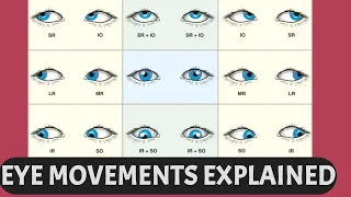 EYE MOVEMENTS EXPLAINED  | Ductions, versions, vergence, six cardinal gaze positions
