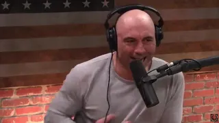 Joe Rogan Podcast with Adam Greentree on Dealing with Bears and Wolves JRE clips