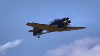 Harvard T-6 Texan ~ The Warbird Trainer with radial Engine Sound