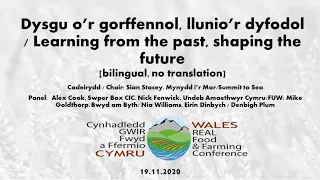 Dysgu o’r gorffennol, llunio’r dyfodol / Learning from the past, shaping the future [bilingual]