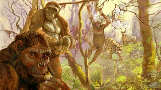 The First Hominins