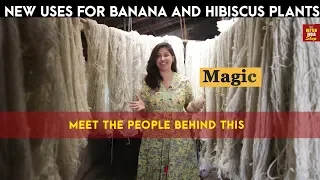 New Uses for Banana and Hibiscus Plants!