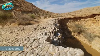 מגלים את אילת- נחל סעיפים (נובמבר 2020) גבי מים במדבר. מתיה כץ