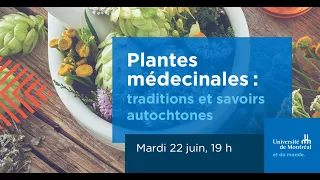 Plantes médicinales: traditions et savoirs autochtones