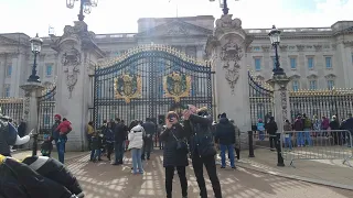 Best Buckingham Palace to Big Ben Tour - London Walk